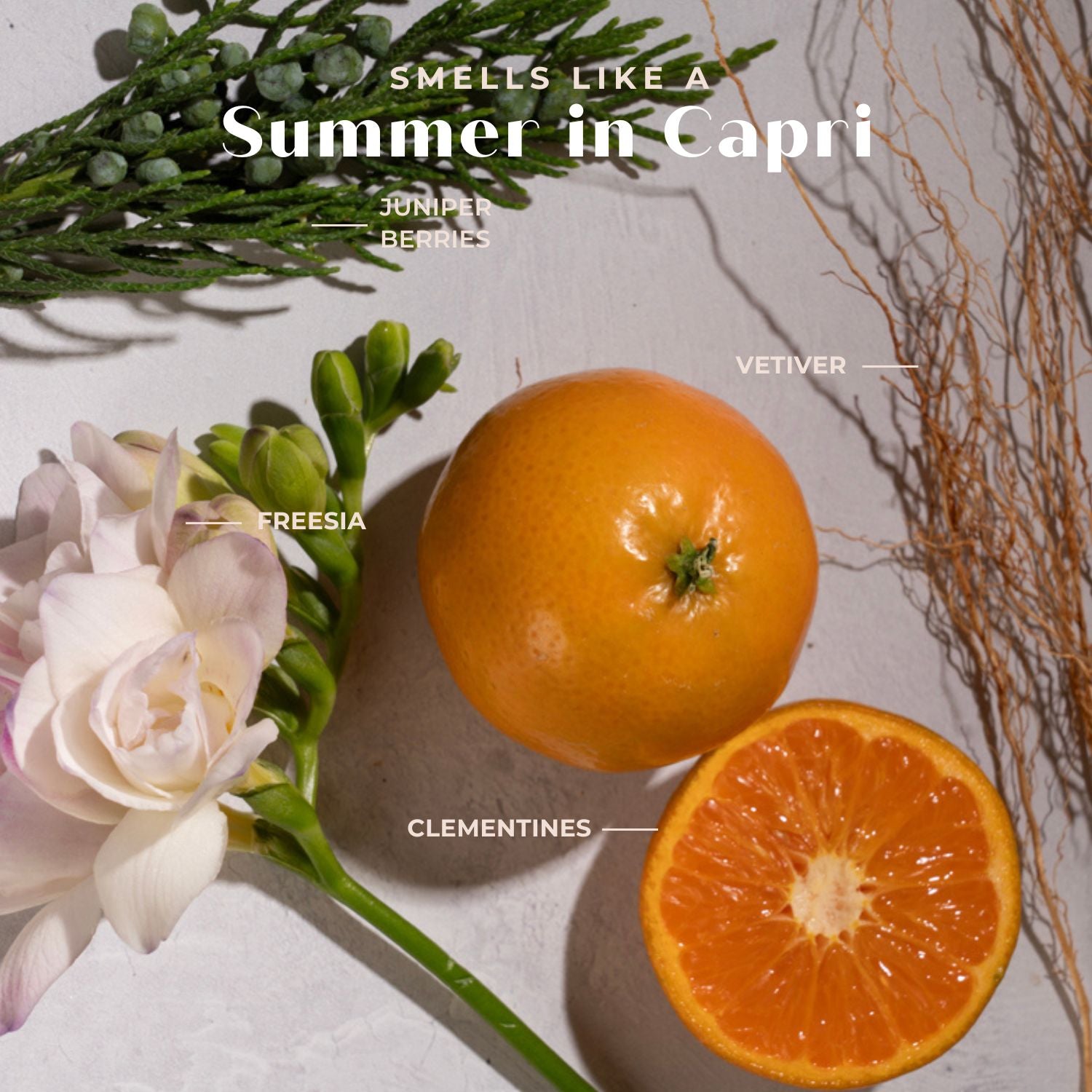 Color Care Sulfate-Free Shampoo