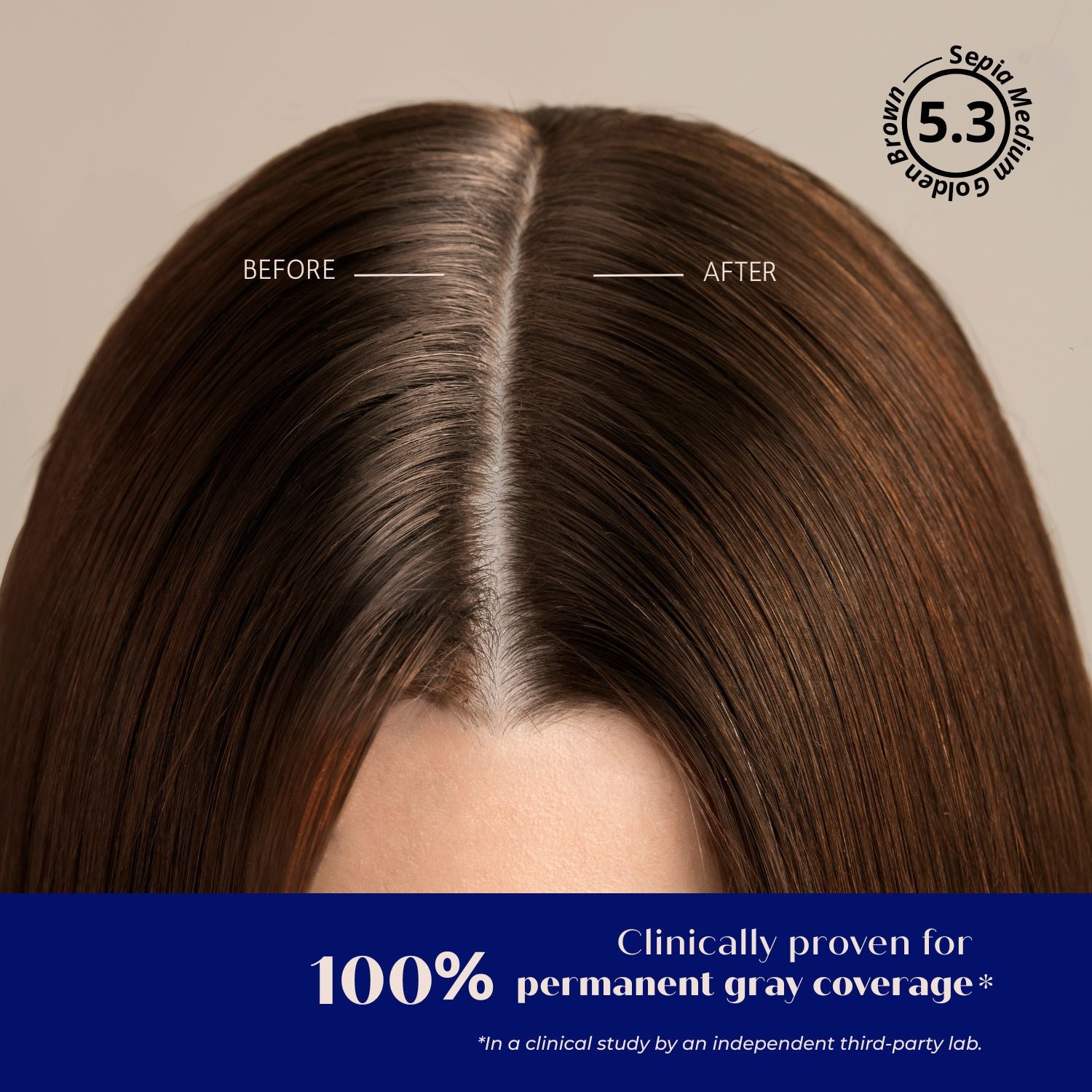 5-3-5g-sepia-medium-golden-brown