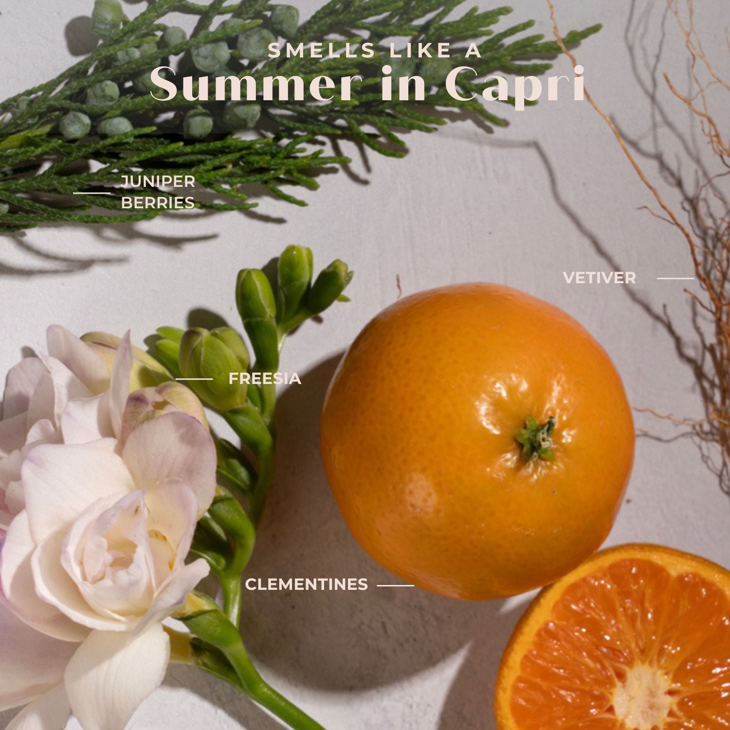 Hydrate Leave-In Conditioner